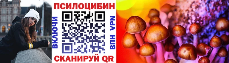 Купить где  Болохово  Псилоцибиновые грибы ЛСД 